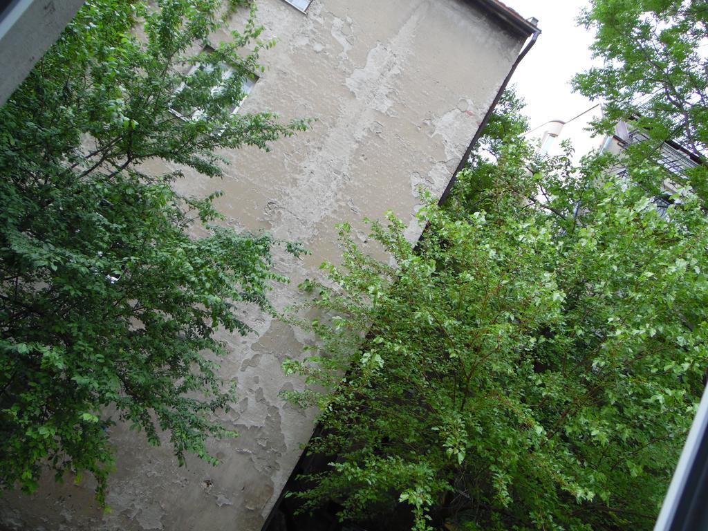 Apartment Vracar Belgrad Exterior foto