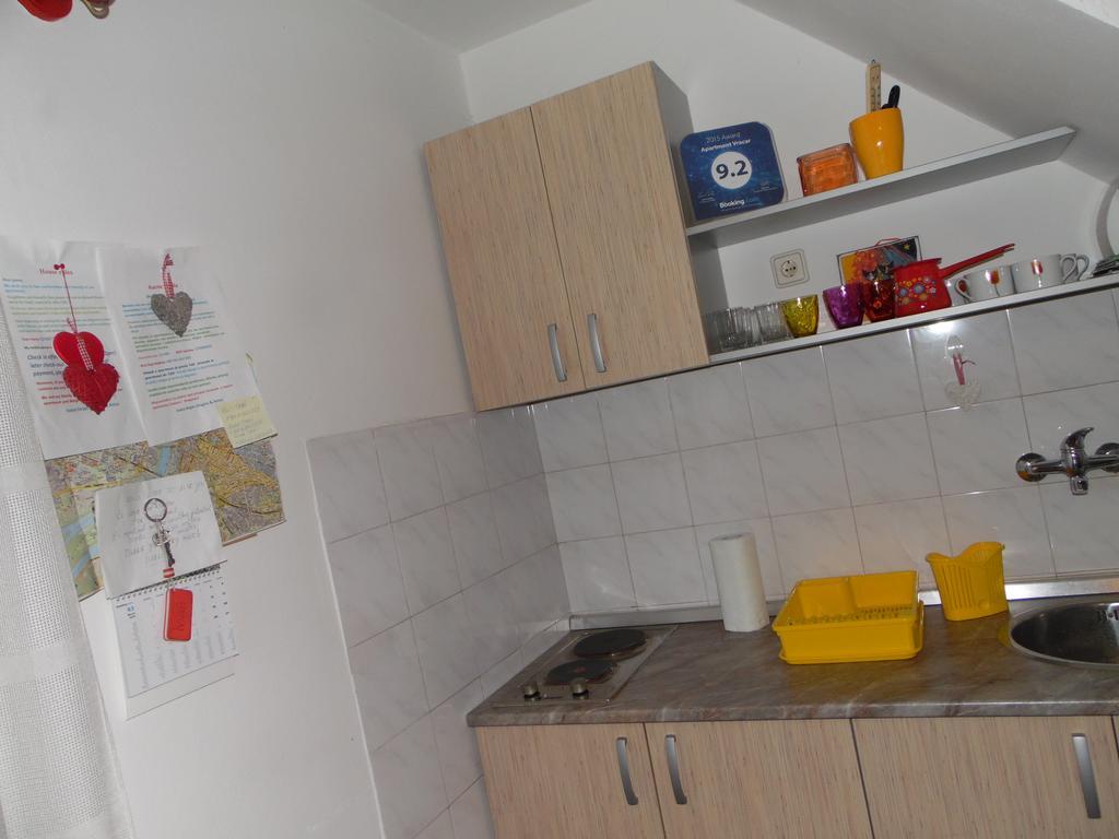 Apartment Vracar Belgrad Exterior foto