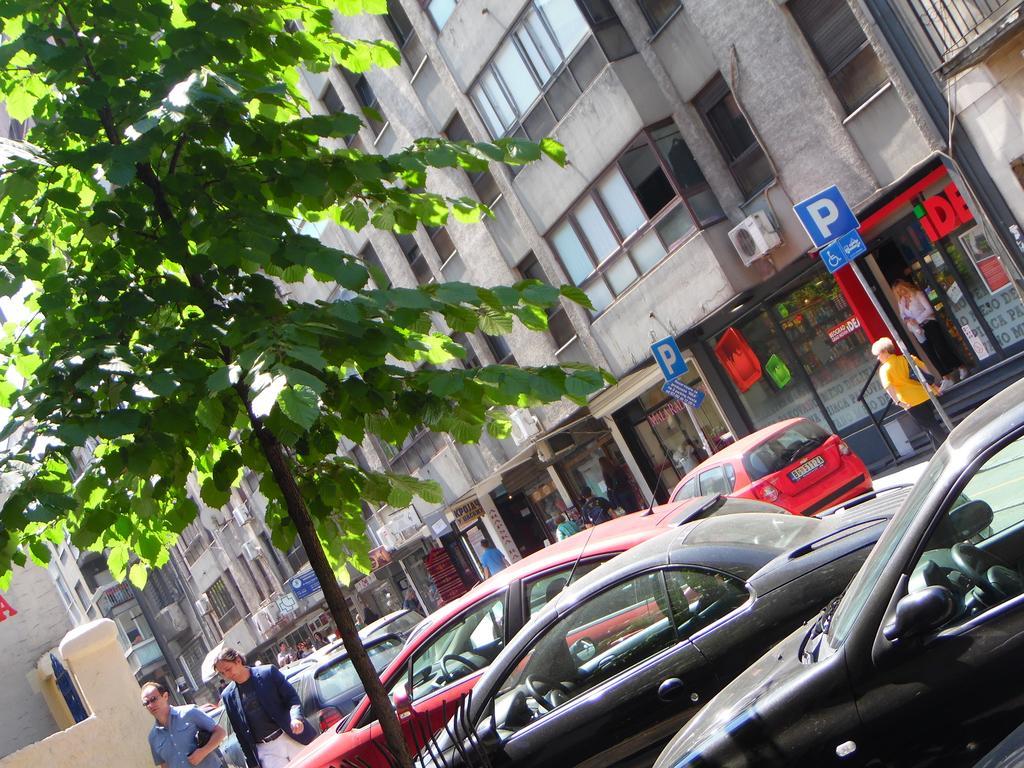 Apartment Vracar Belgrad Exterior foto